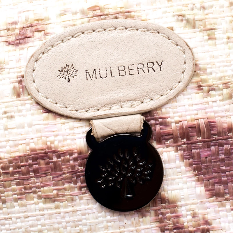 Mulberry Multicolor Trippy Tiger Raffia And Leather Alexa Satchel For Women - Image 9