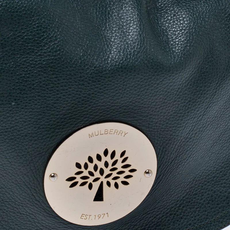 Mulberry Dark Green Leather Daria Hobo For Women - Image 5