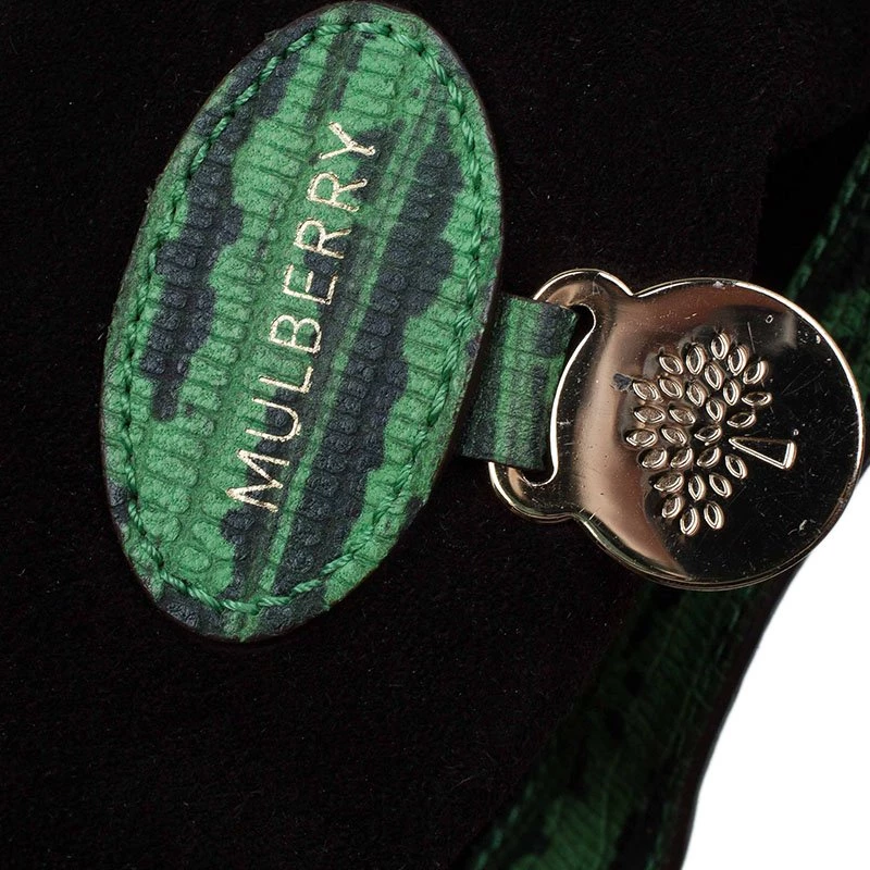 Mulberry Green Lizard Embossed Leather Alexa Shoulder Bag For Women - Image 7